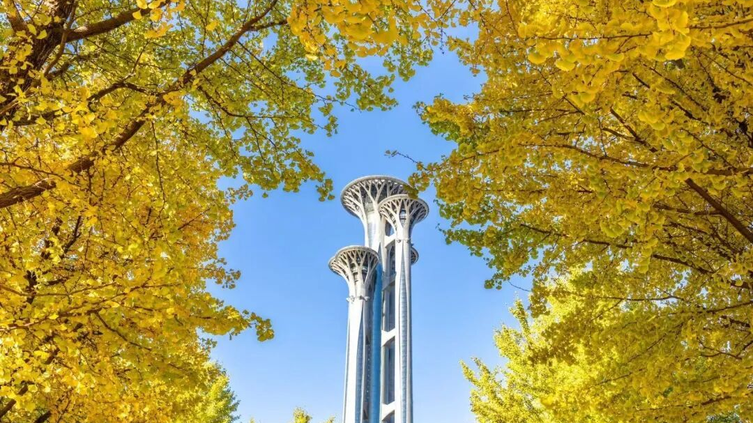 北京彩叶树变色率播报：近郊这个公园变色率高达95%