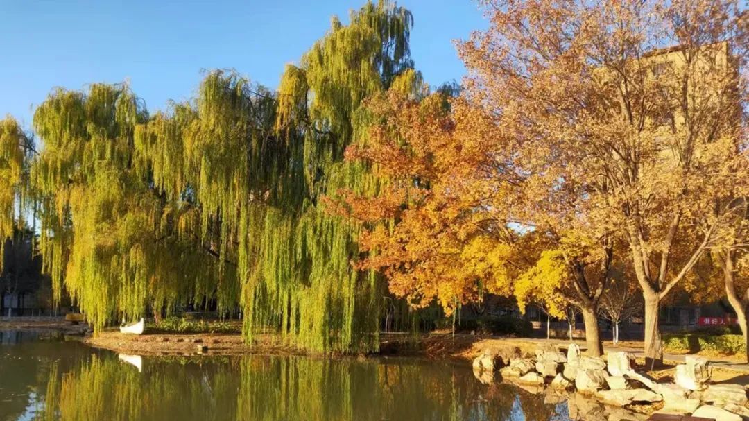 走进顺义,映入眼帘的第一印象是…… 走进顺义,映入眼帘的第一印象是……