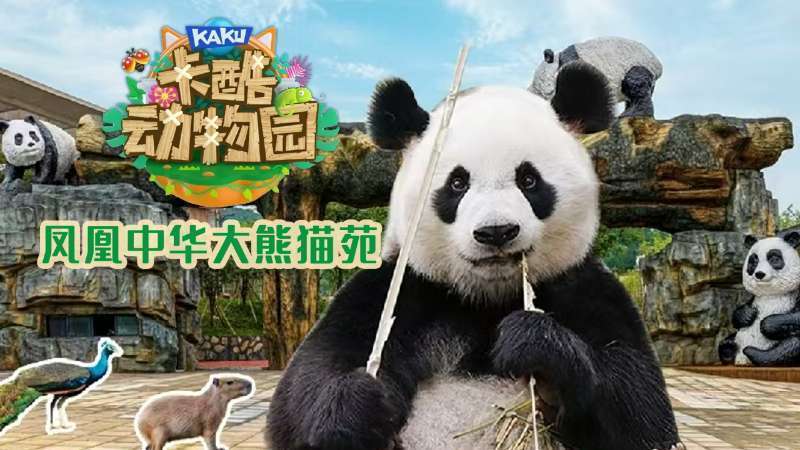 少儿户外动物直播《卡酷动物园》萌萌的“凤凰八小只 ” TA来了！