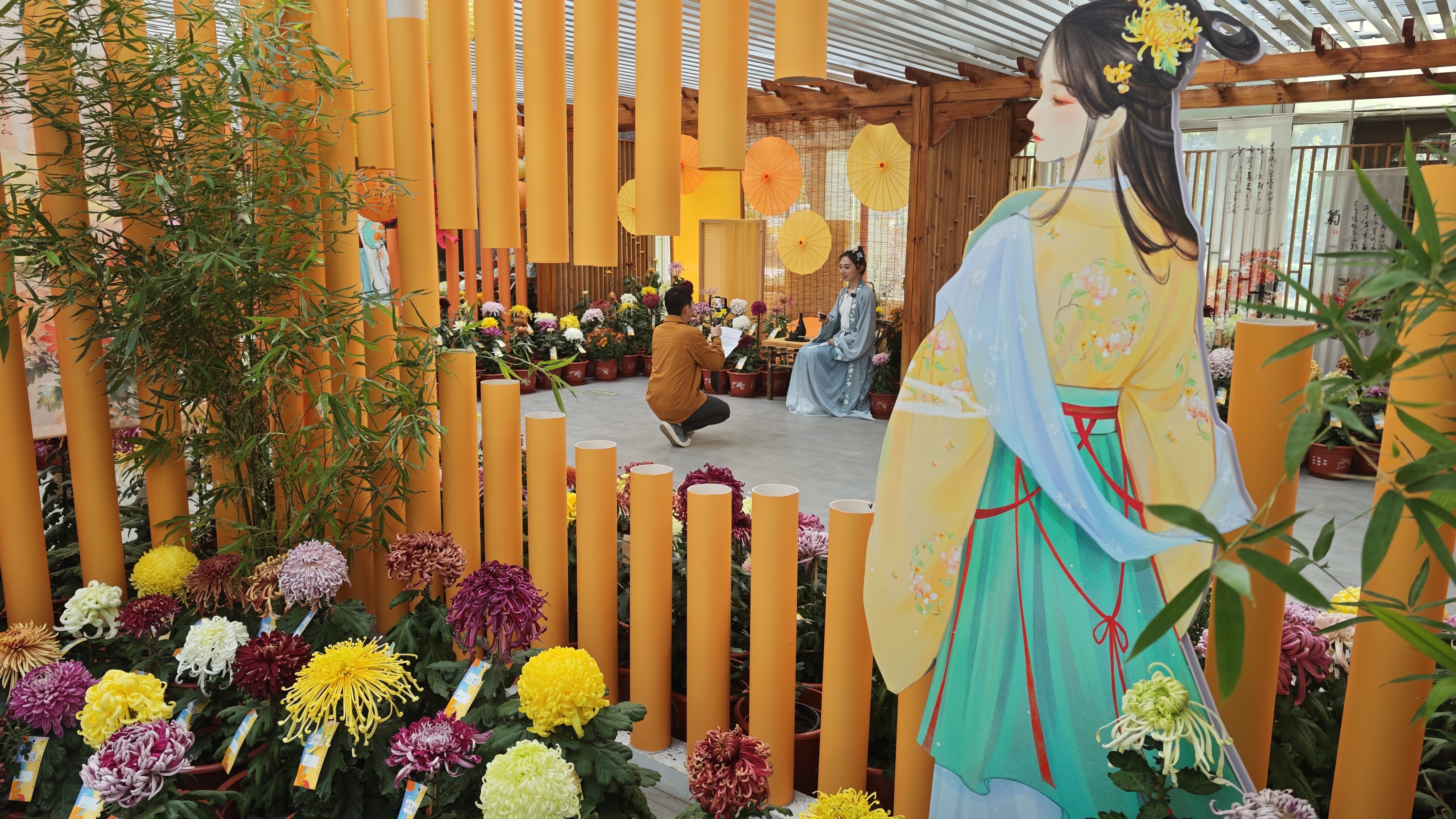 近2000盆精品菊花亮相世界花卉大观园,“虎踞贯珠”摘得“菊王” 近2000盆精品菊花亮相世界花卉大观园,“虎踞贯珠”摘得“菊王”