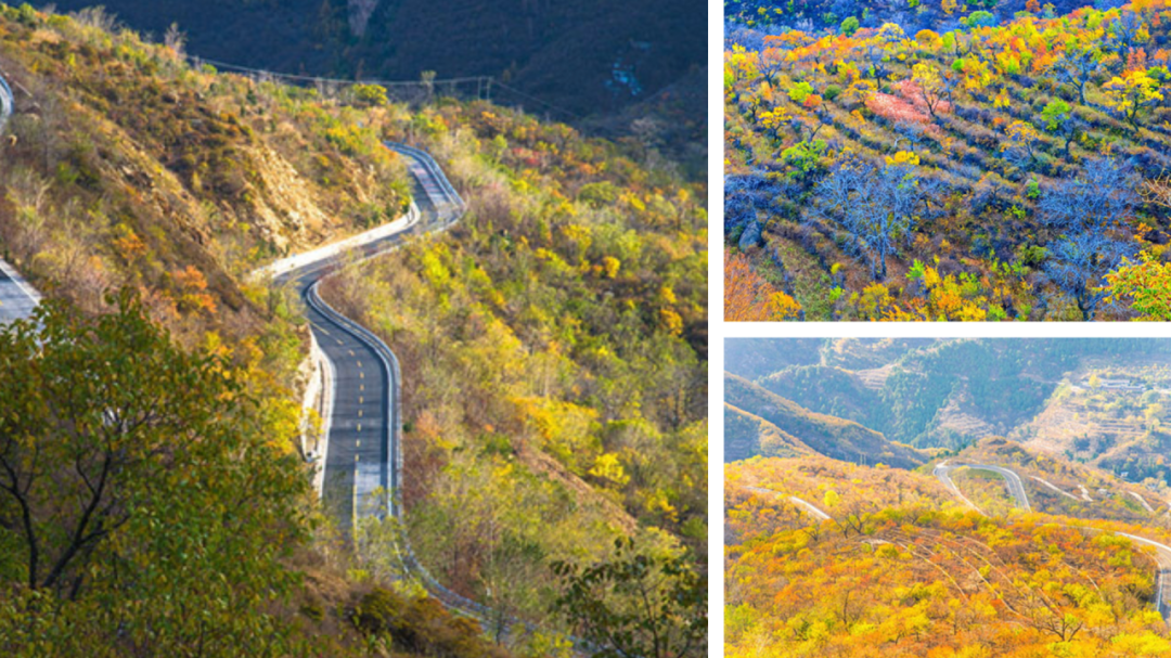 来“北京西极”，追一场如画的秋