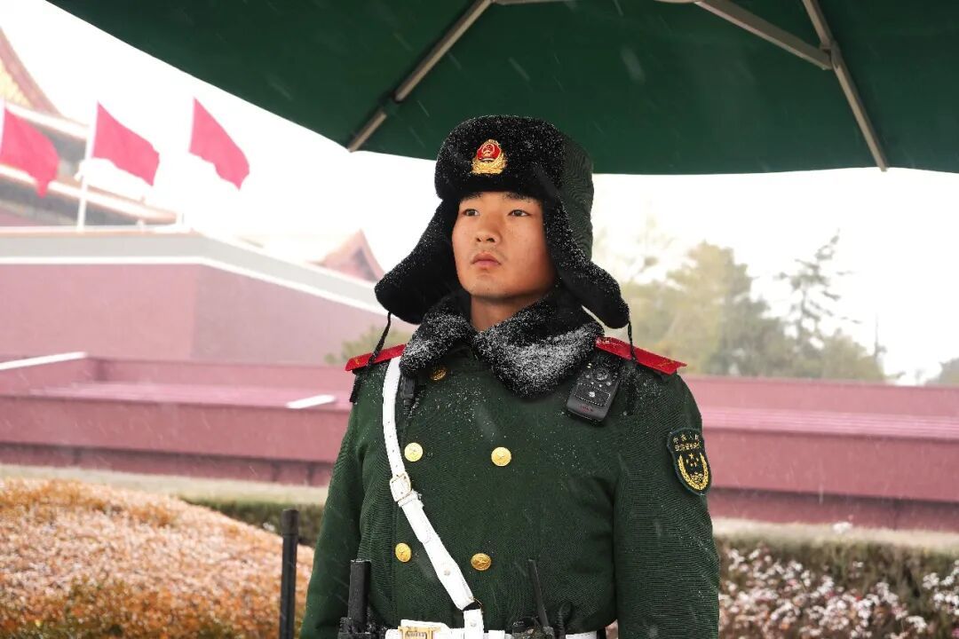 致敬!风雪中的忠诚卫士 致敬!风雪中的忠诚卫士