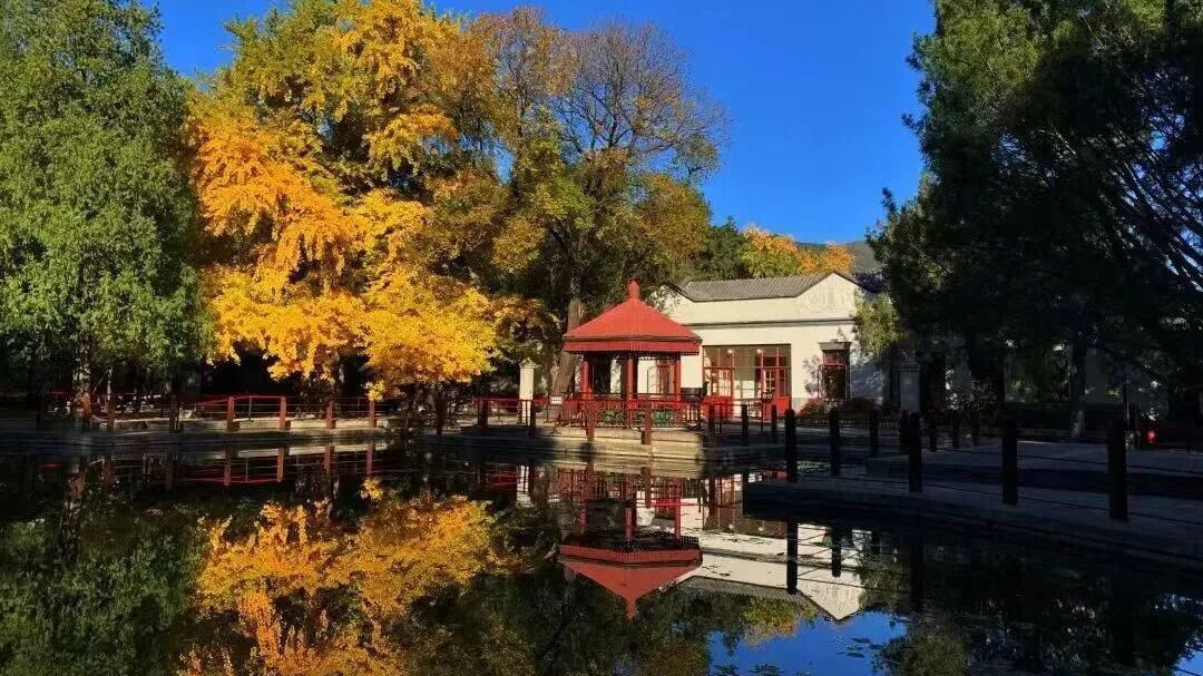 温馨提示！北京这些爱国主义教育基地恢复常态化开放，别跑空