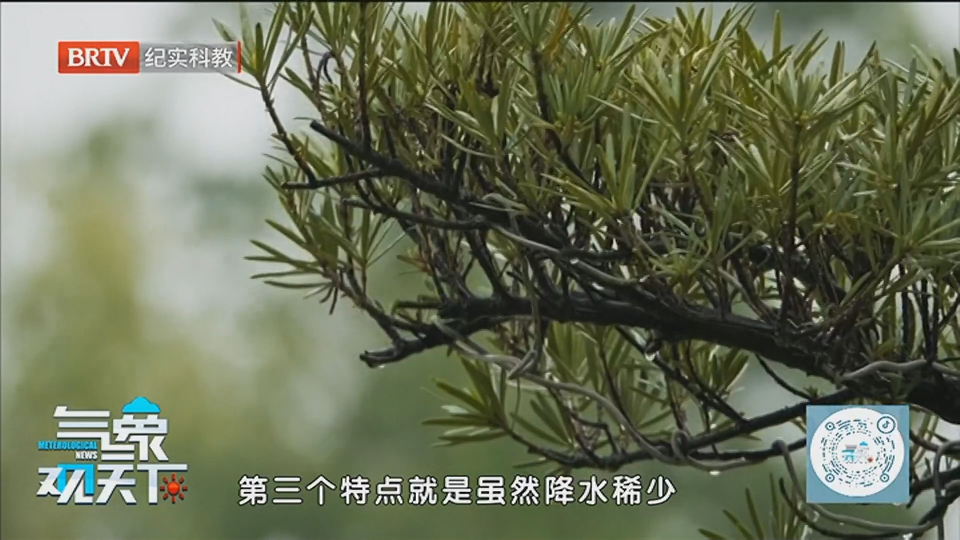 《气象观天下》20260307把脉三月风云 护航春运返程