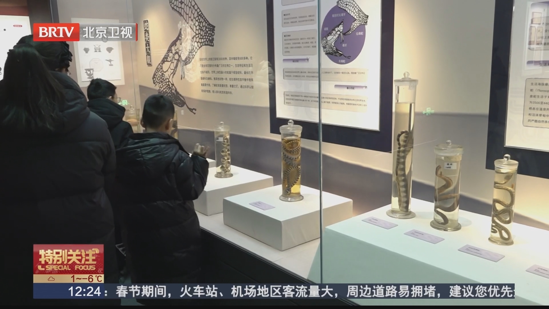 来国家自然博物馆看蛇展过“非遗年”