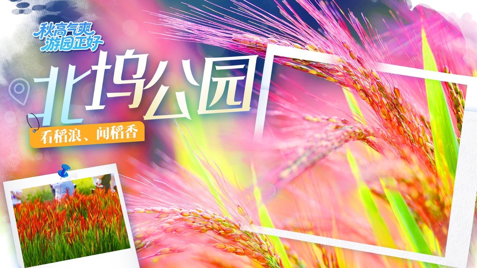 假期游园记|国庆秋游公园推荐 —— 北坞公园 假期游园记|国庆秋游公园推荐 —— 北坞公园