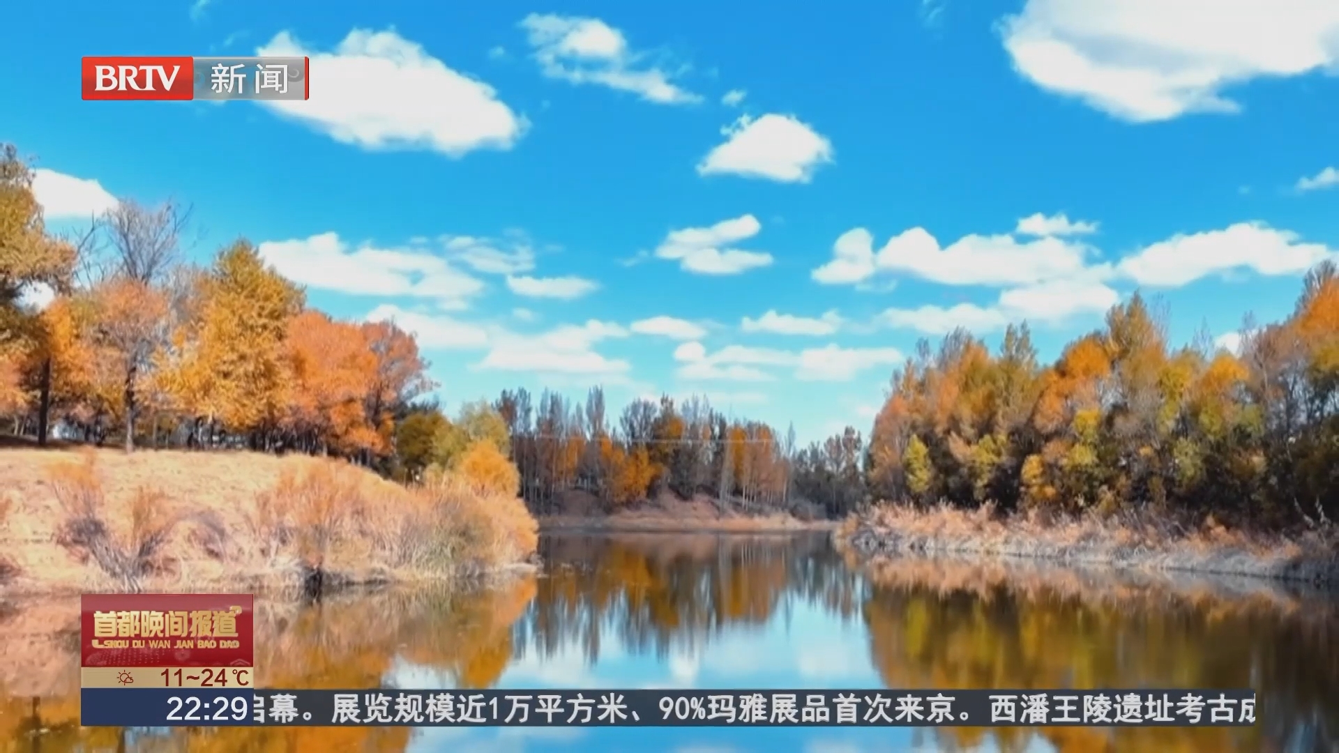 斑斓秋色铺展成画 满目皆是浪漫