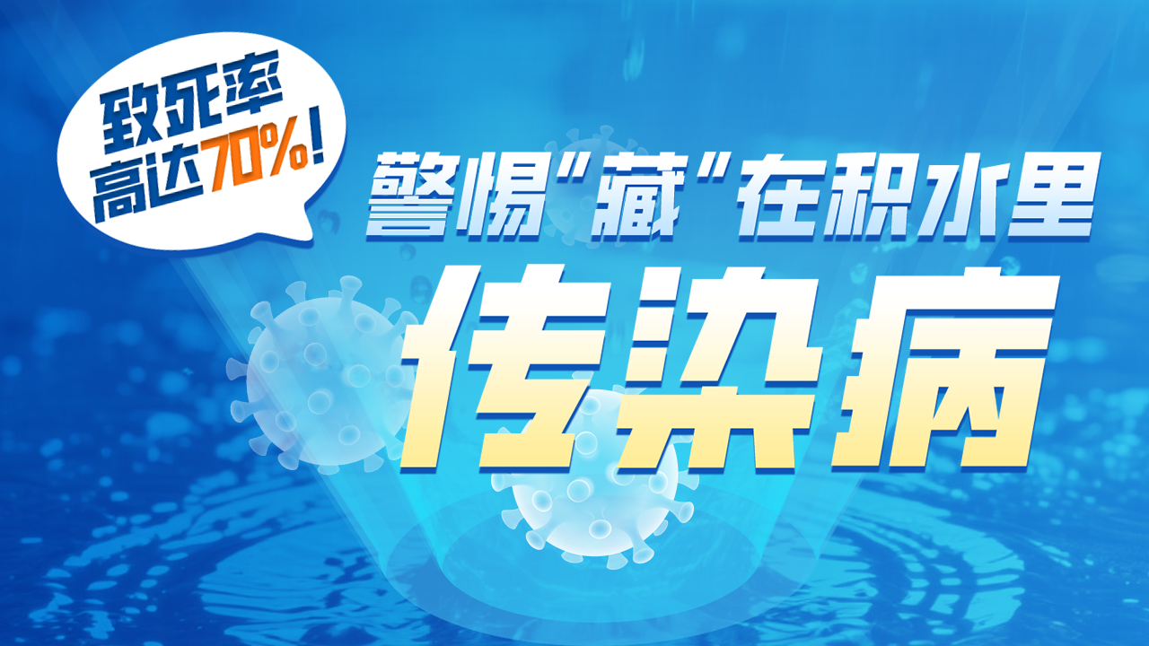 洪水过后，小心“鼠尿病”！