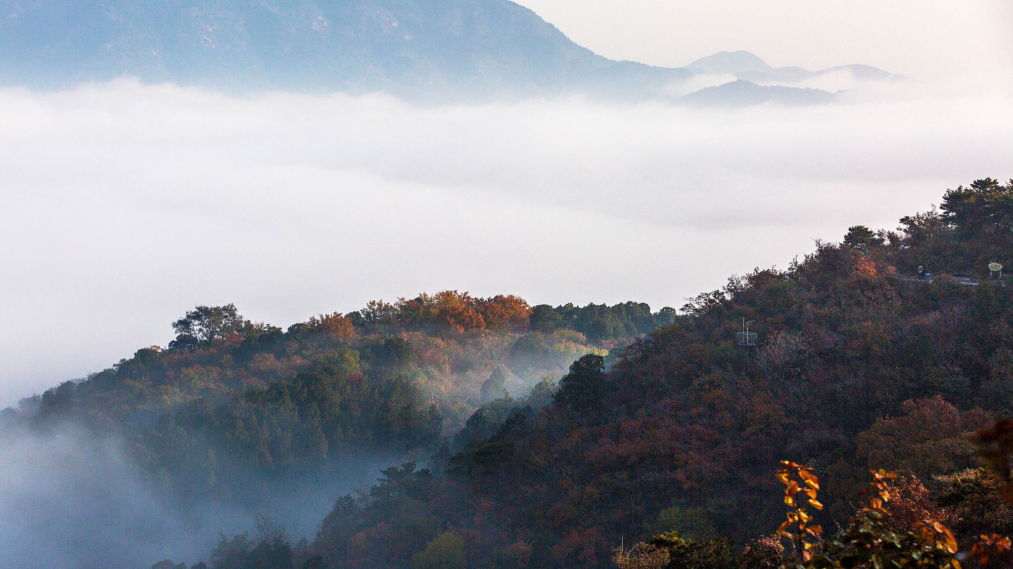 香山红叶季最新交通攻略!新增千余车位,这些日期有临时交通管制 香山红叶季最新交通攻略!新增千余车位,这些日期有临时交通管制