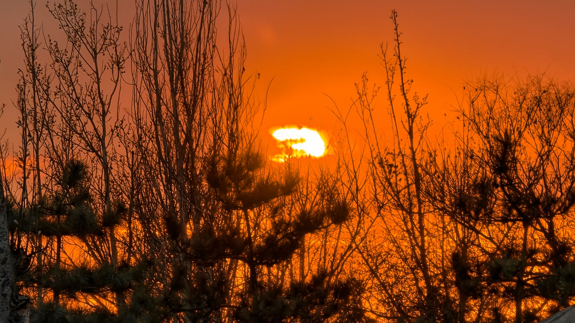 京城傍晚：浩浩层云遮不住，华光万丈染红霞