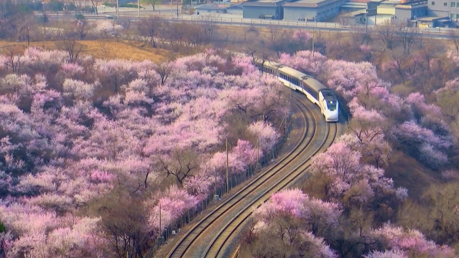 不负京华好春光|居庸关花海栈道开放 赏花经济点亮春日消费 不负京华好春光|居庸关花海栈道开放 赏花经济点亮春日消费