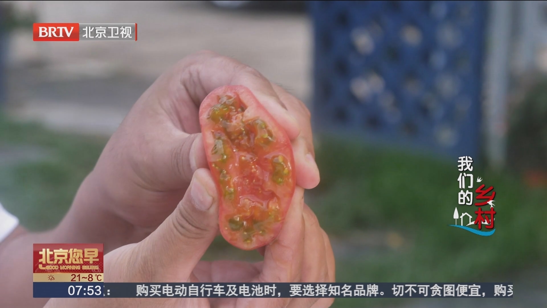 我们的乡村 生态低碳农业 厚植高质量发展的绿色底色