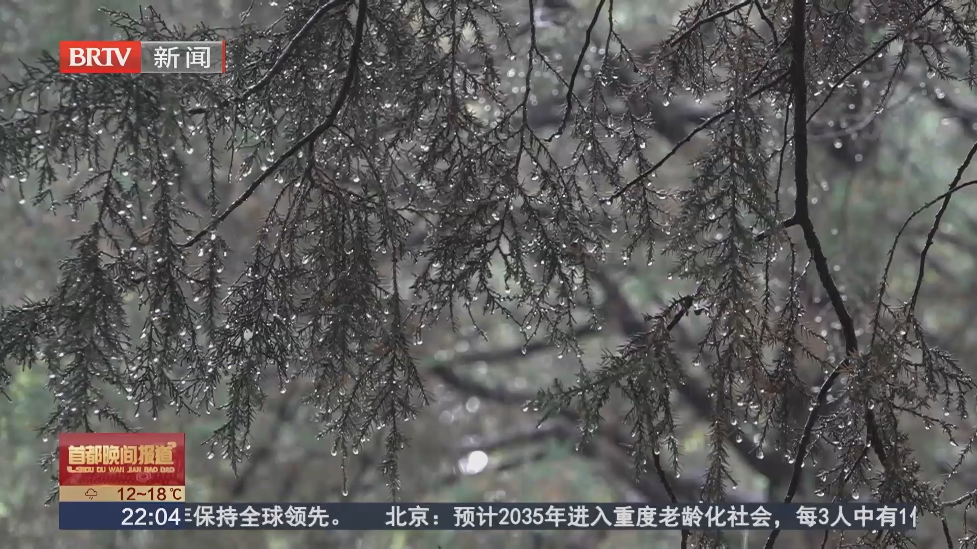 这场秋雨达到了暴雨级别