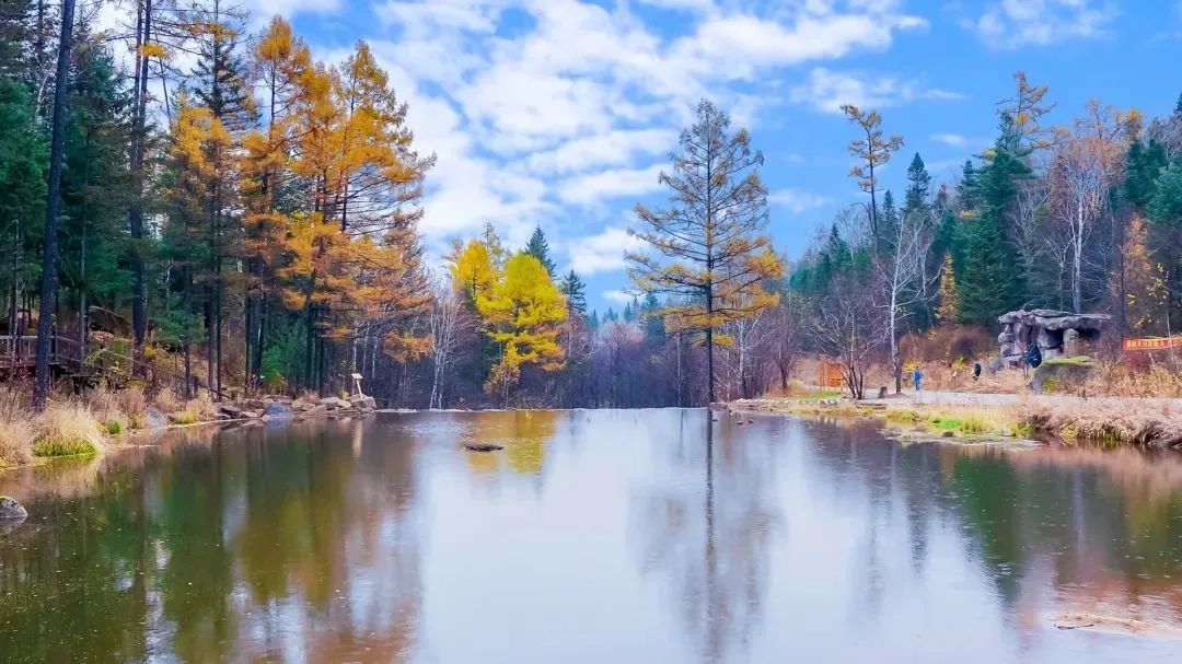 7月避暑去哪?小众、清凉、森林氧吧……伊春全满足!下月底出发 7月避暑去哪?小众、清凉、森林氧吧……伊春全满足!下月底出发