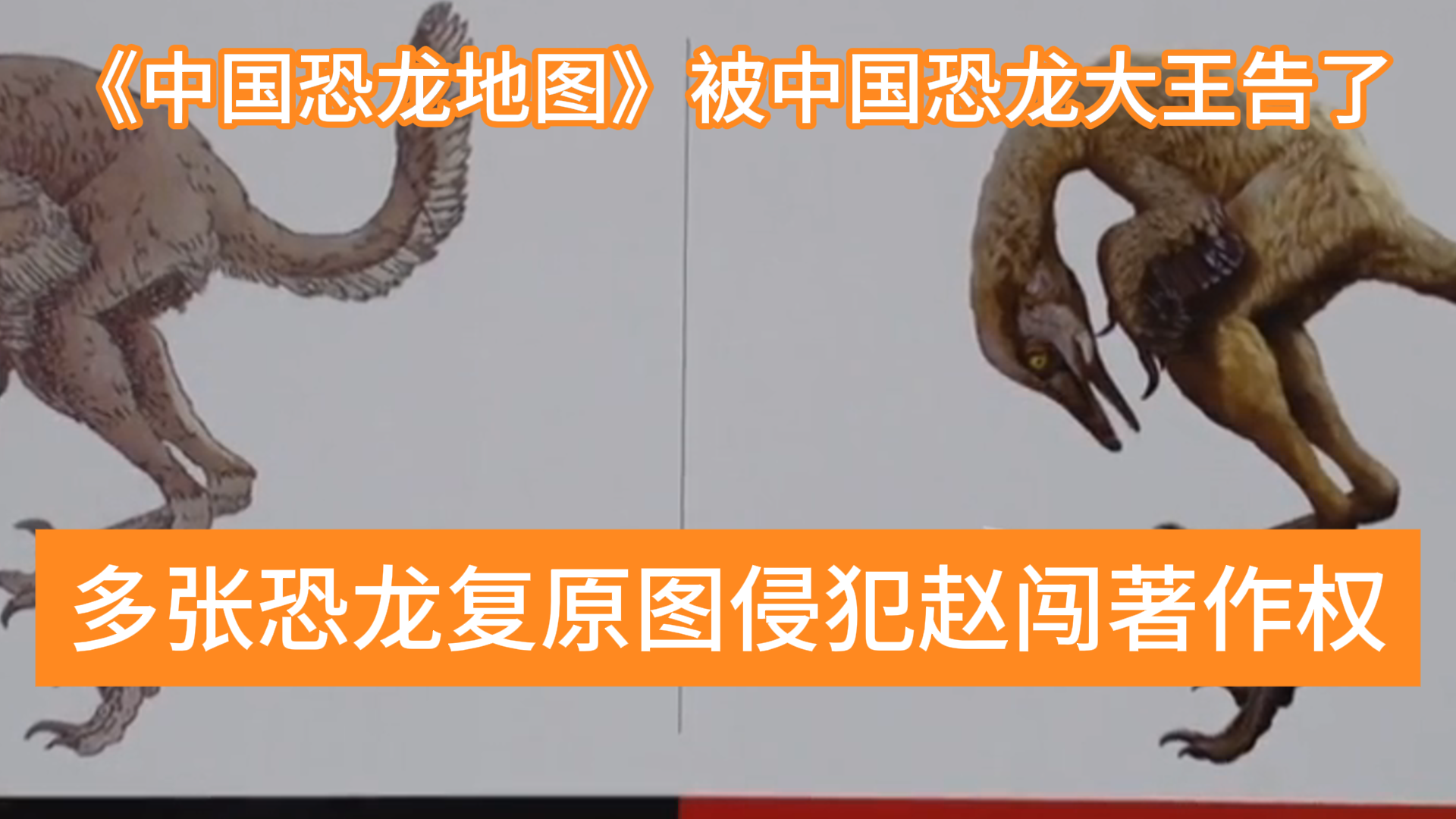 获奖书籍里有大量侵权内容，《中国恐龙地图》被中国恐龙大王给告了