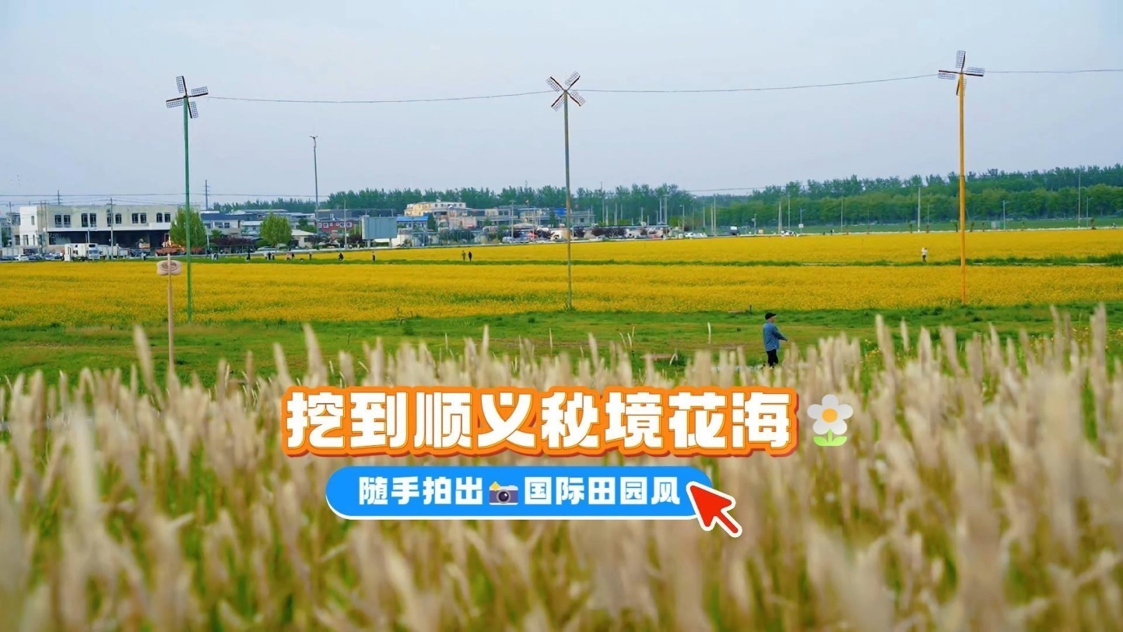 天竺镇楼台村千亩油菜花海,满眼皆是清新治愈的田园风光 天竺镇楼台村千亩油菜花海,满眼皆是清新治愈的田园风光