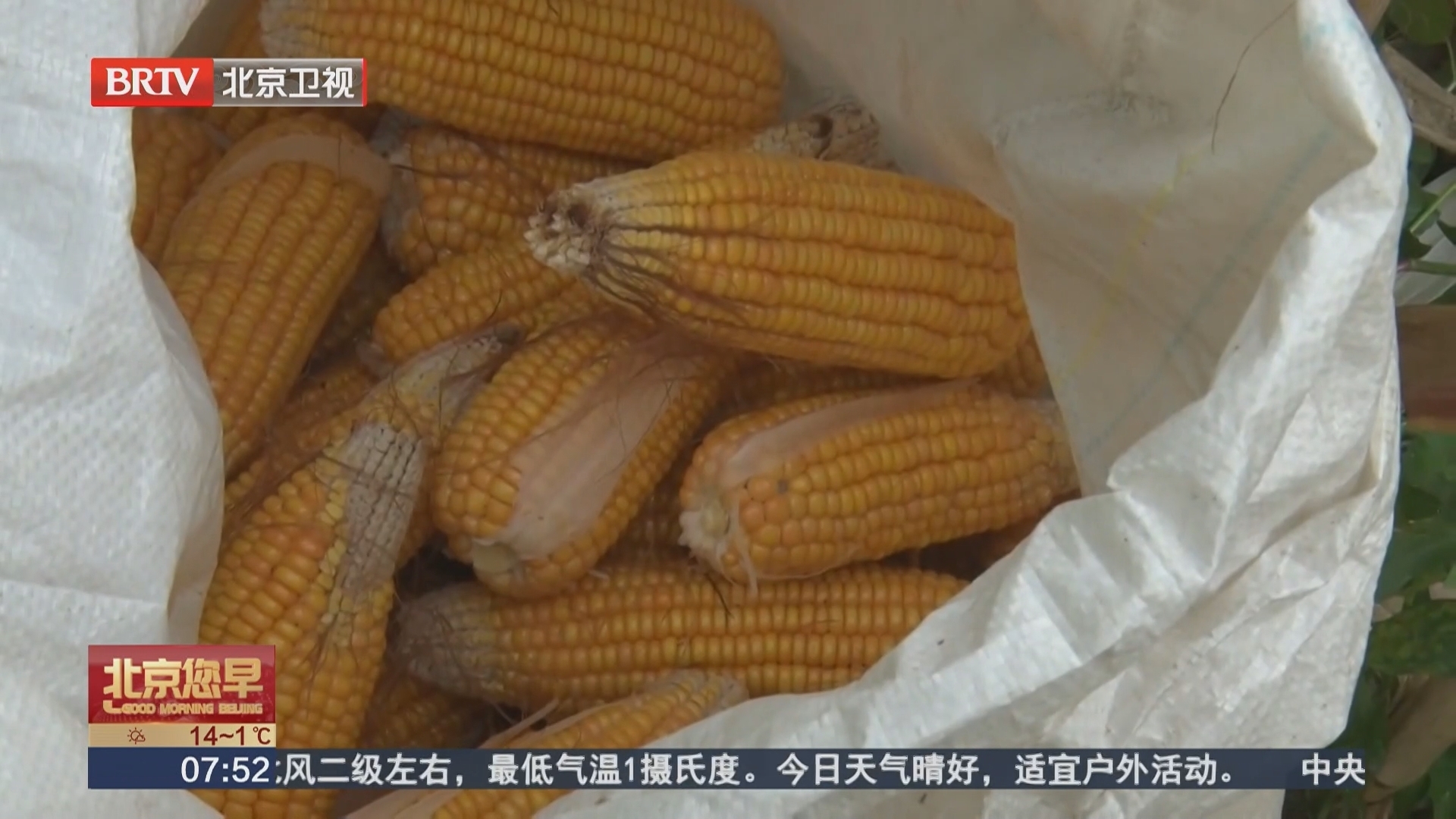 包装玉米保质期长主要源于加工方式升级