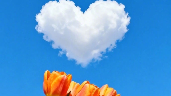 注意防风保暖！北京明天白天晴，最高气温8℃