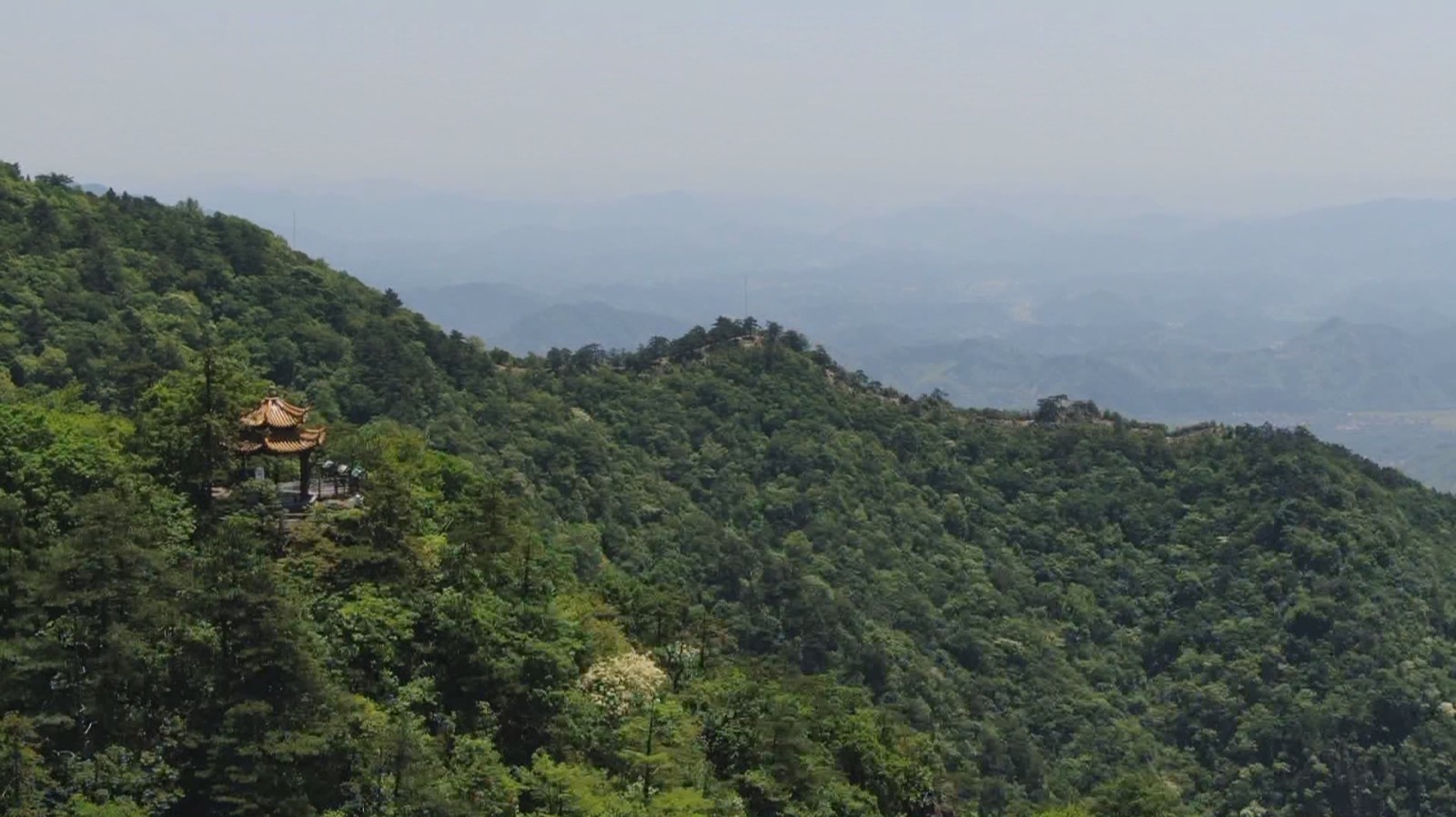 天目山~清凉峰世界生物圈保护区正式颁证 天目山~清凉峰世界生物圈保护区正式颁证