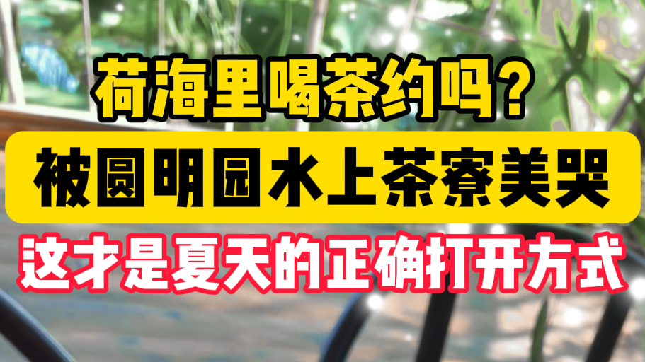 荷花中喝茶约吗？被圆明园水上茶寮美哭 这才是夏天的正确打开方式