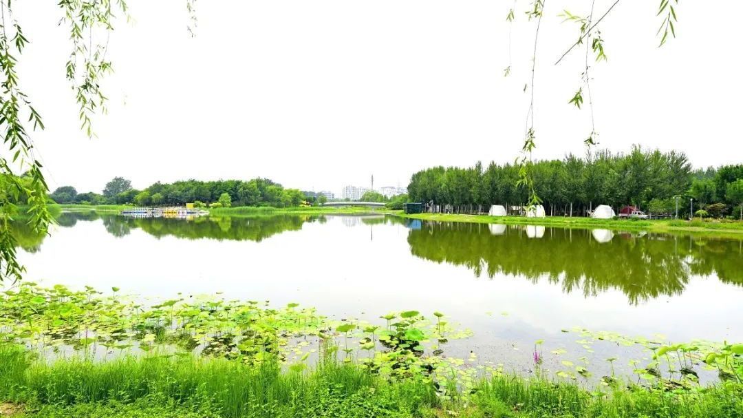 通州这个大公园变身“遛娃神地”!观光小火车+主题乐园等您来~ 通州这个大公园变身“遛娃神地”!观光小火车+主题乐园等您来~