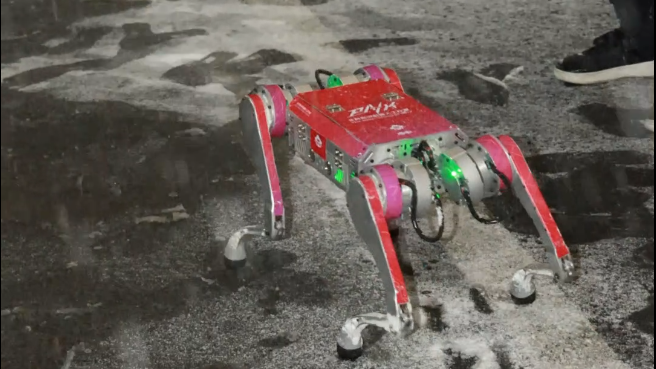 北京初雪 校园里的机器狗们跑出来撒欢儿