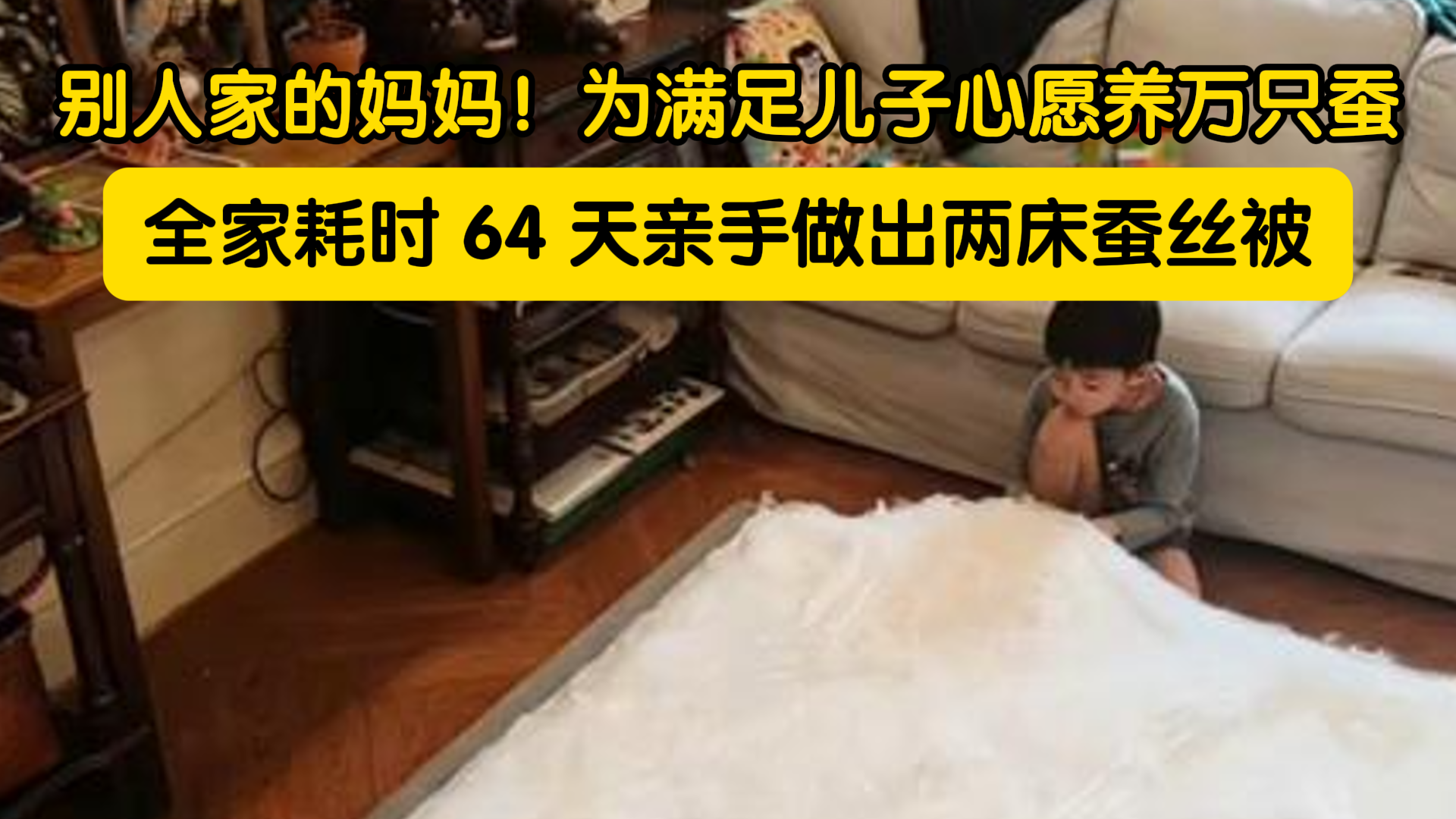 为满足儿子心愿养万只蚕 为满足儿子心愿养万只蚕