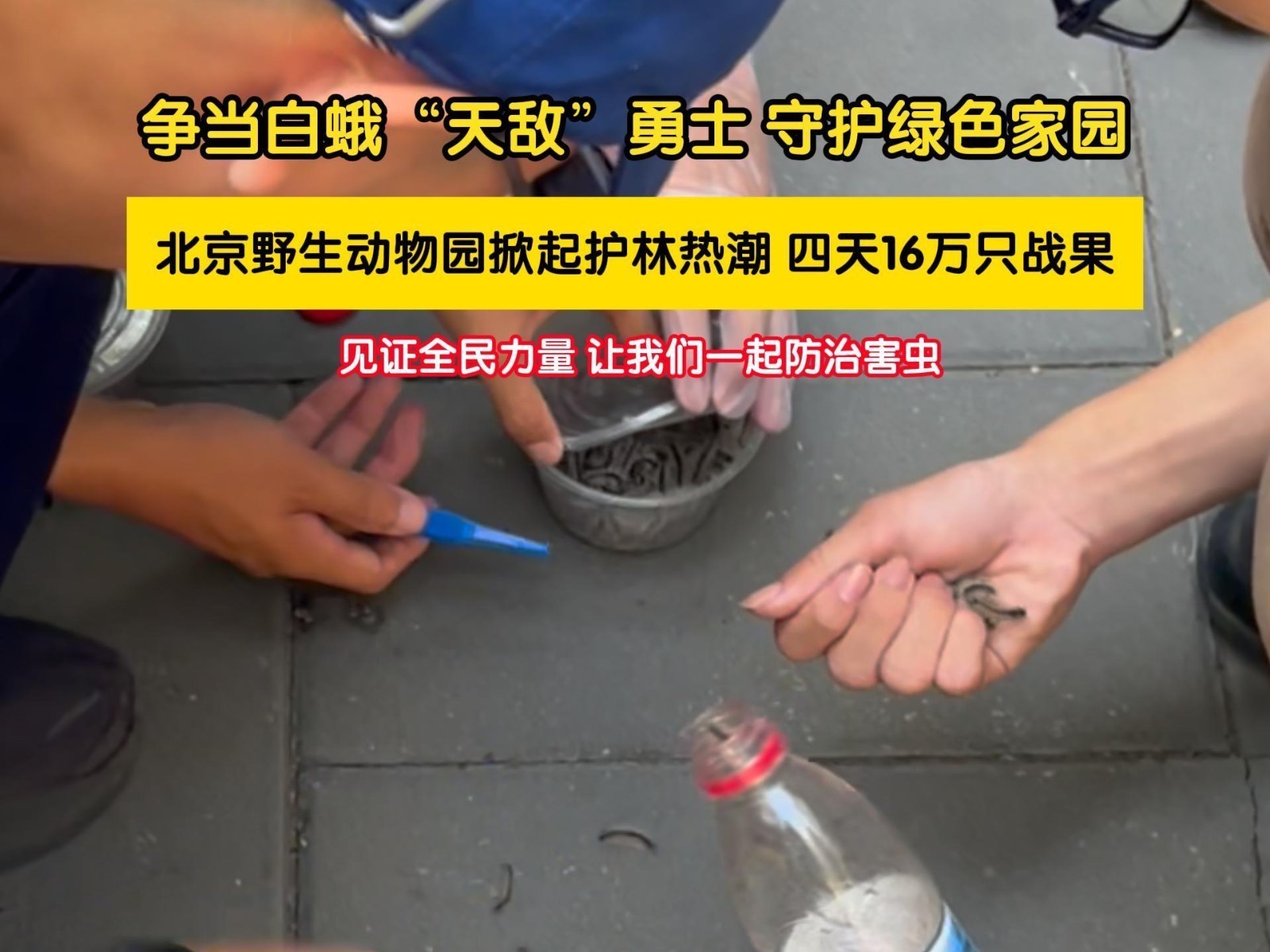 北京野生动物园吹响集结号 全民行动守护绿色家园 北京野生动物园吹响集结号 全民行动守护绿色家园