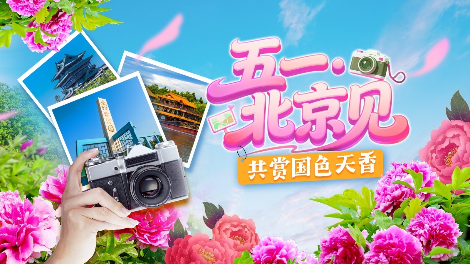 五一・北京见｜牡丹花海已就位，快来沉浸式打卡最美春日牡丹