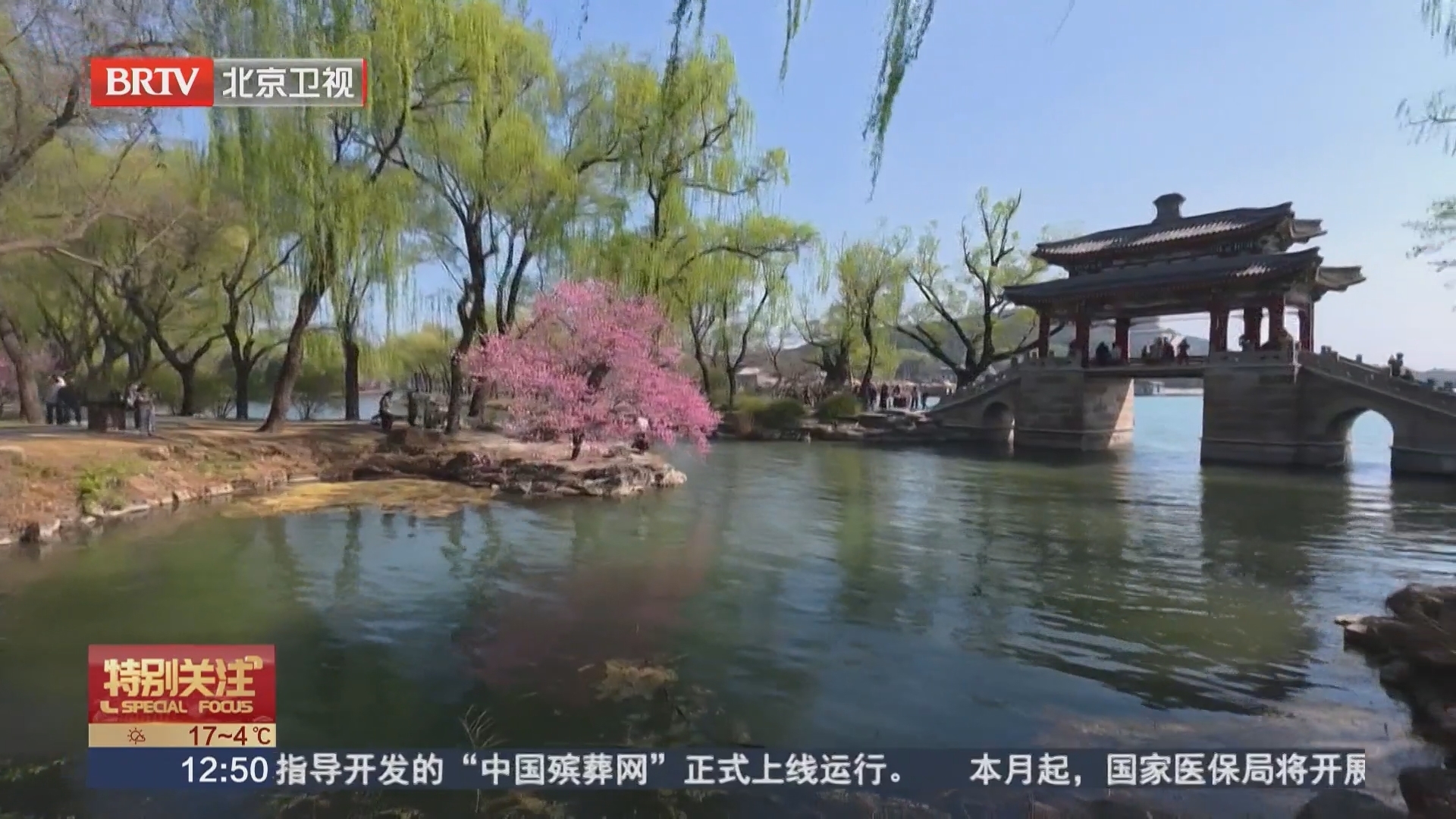 颐和园花正美 小众赏花路线避开“人挤人” 颐和园花正美 小众赏花路线避开“人挤人”