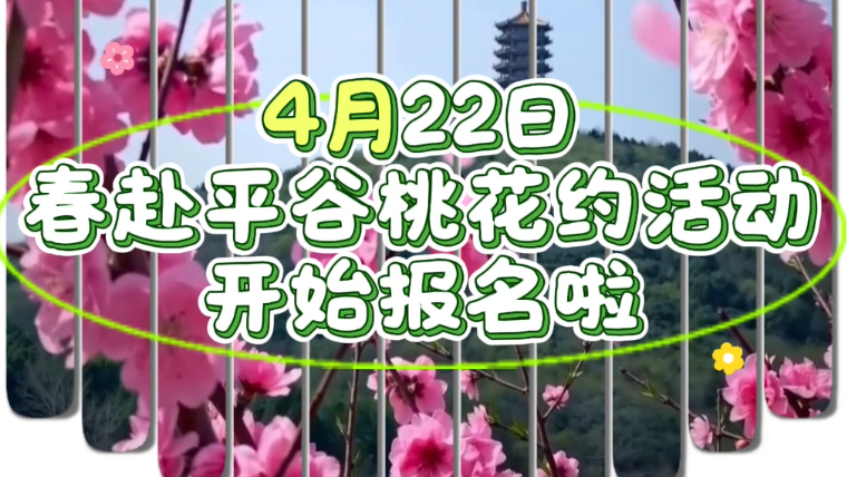 不如见一面，就这个春天！