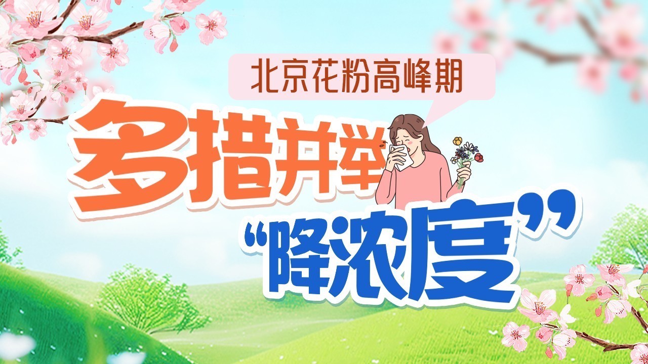 一图读懂|花粉高峰期!北京多措并举 “降浓度”,防护指南来了→ 一图读懂|花粉高峰期!北京多措并举 “降浓度”,防护指南来了→