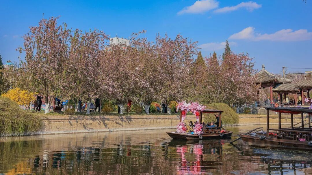 华北第一！10000株海棠开成梦幻花海，北京这里即将“爆火”