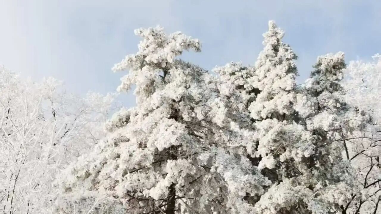 云赏北京房山雪后雾凇 云赏北京房山雪后雾凇