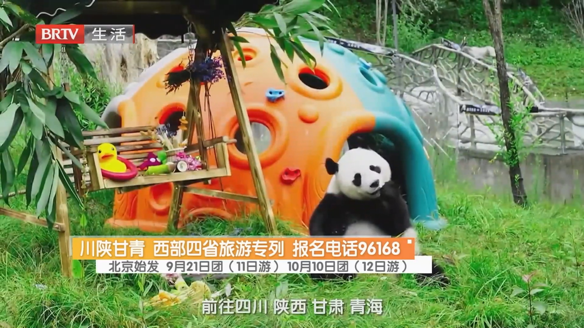 川陕甘青 西部四省旅游专列 报名电话96168