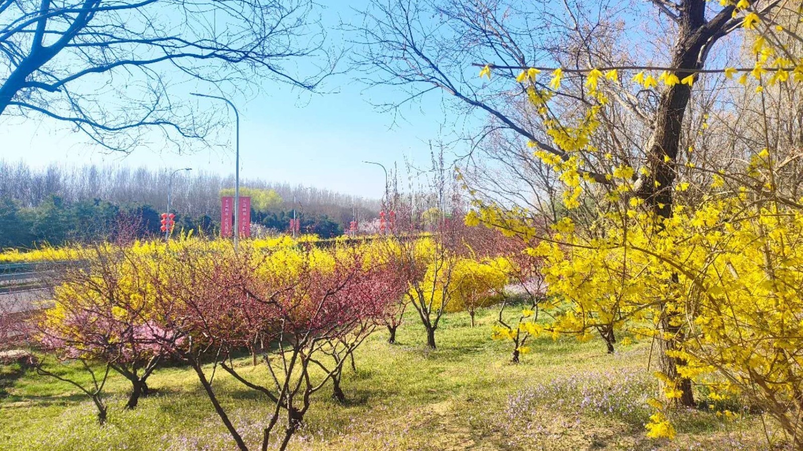 北京平谷：五条特色大道 三大主题片区 绘就花园乡村美丽画卷