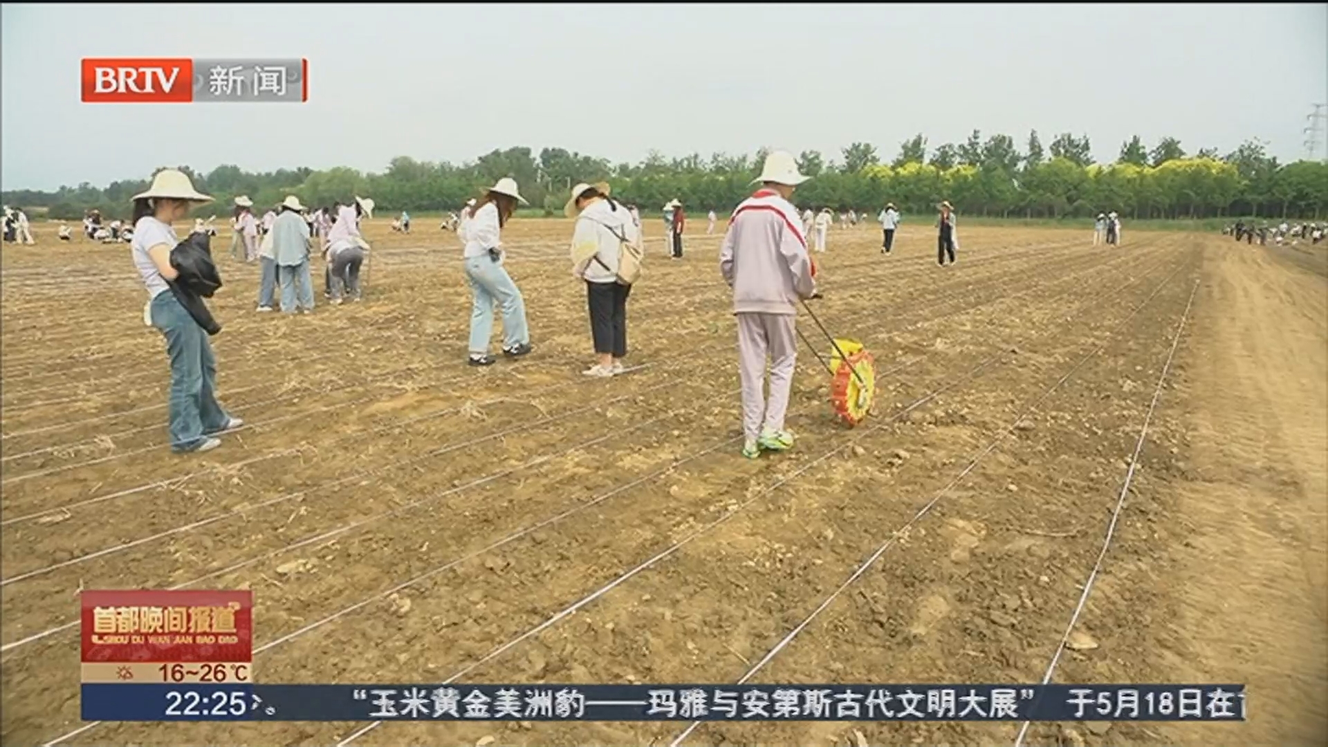 大中小学生同上一堂田间地头“大思政课”