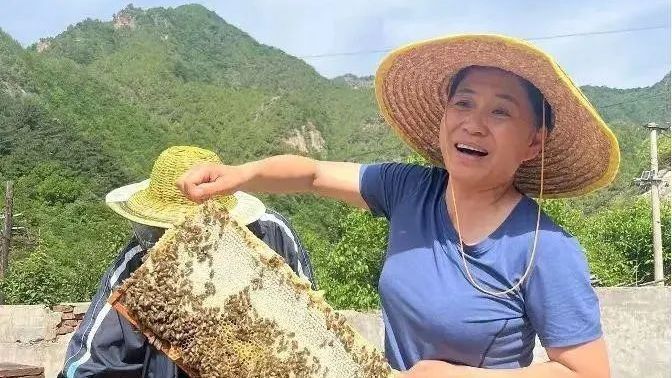 这是尹春燕和蔡永章的故事 这是尹春燕和蔡永章的故事