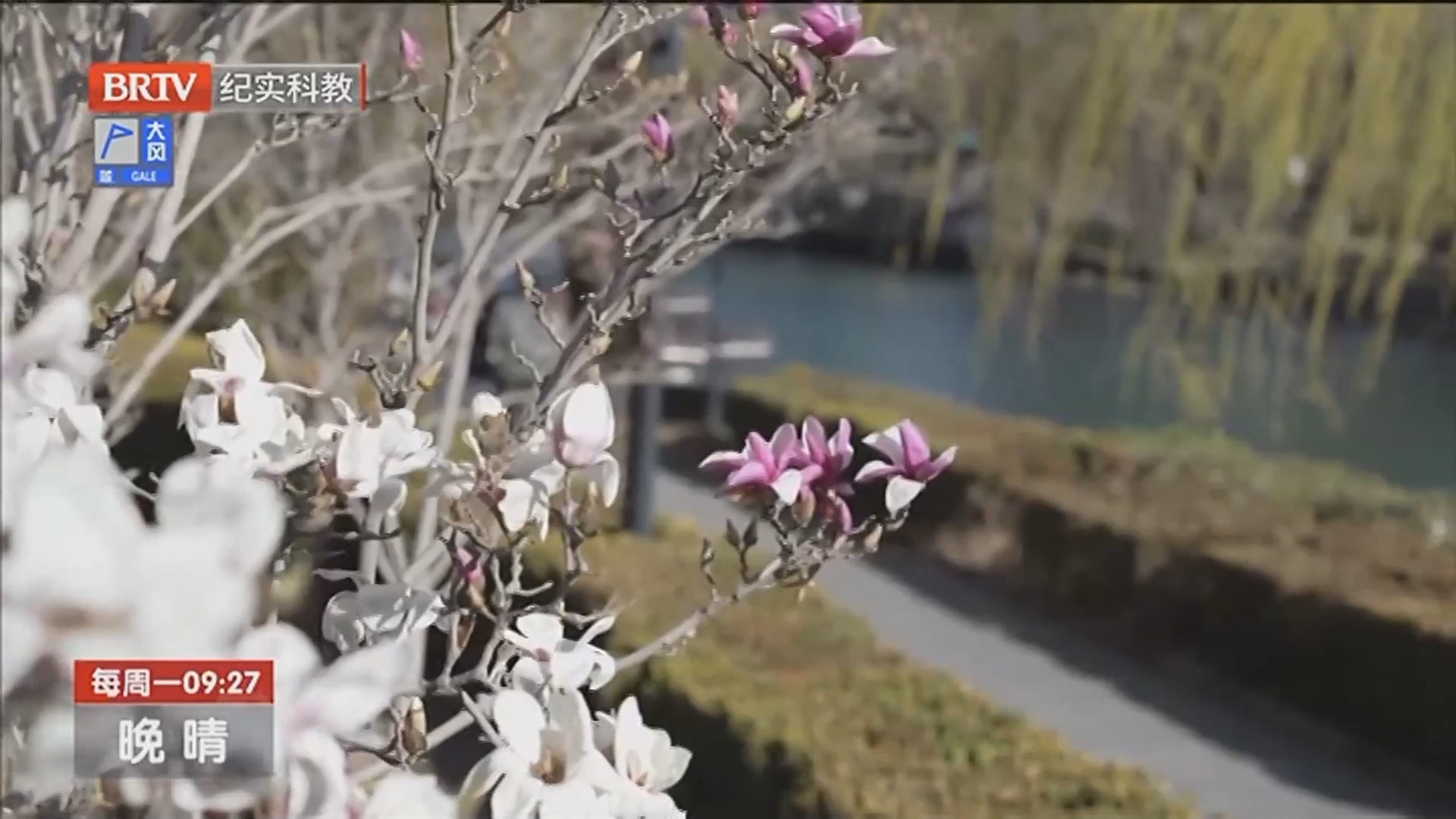 《晚晴》20250407银发追光 学海扬帆——运动健身篇