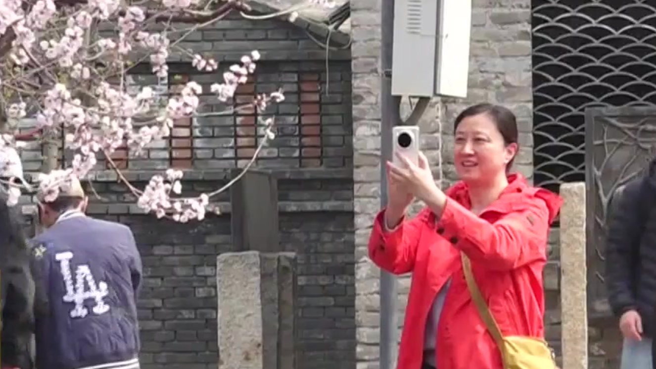 不负京华好春光｜前门三里河成春日热门打卡地