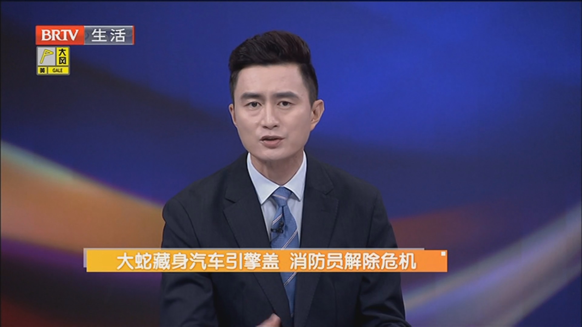 大蛇藏身汽车引擎盖 消防员解除危机