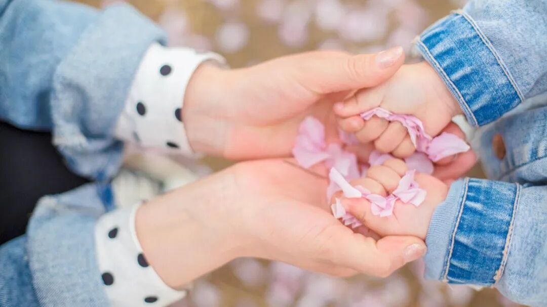 北京今明两天天气晴暖!明天阵风可达6级—— 北京今明两天天气晴暖!明天阵风可达6级——