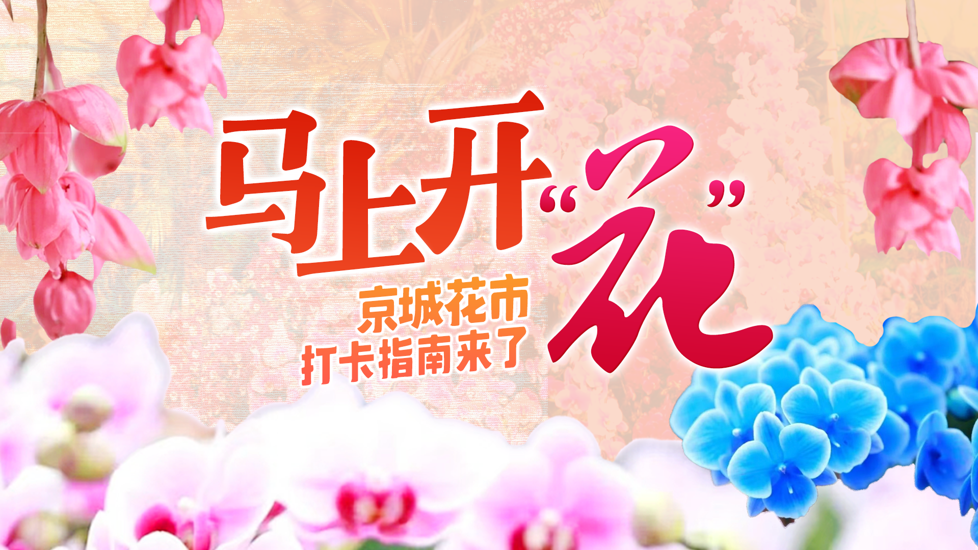 初五迎财神,花香喜盈门!带您逛遍北京6大热门花市 初五迎财神,花香喜盈门!带您逛遍北京6大热门花市