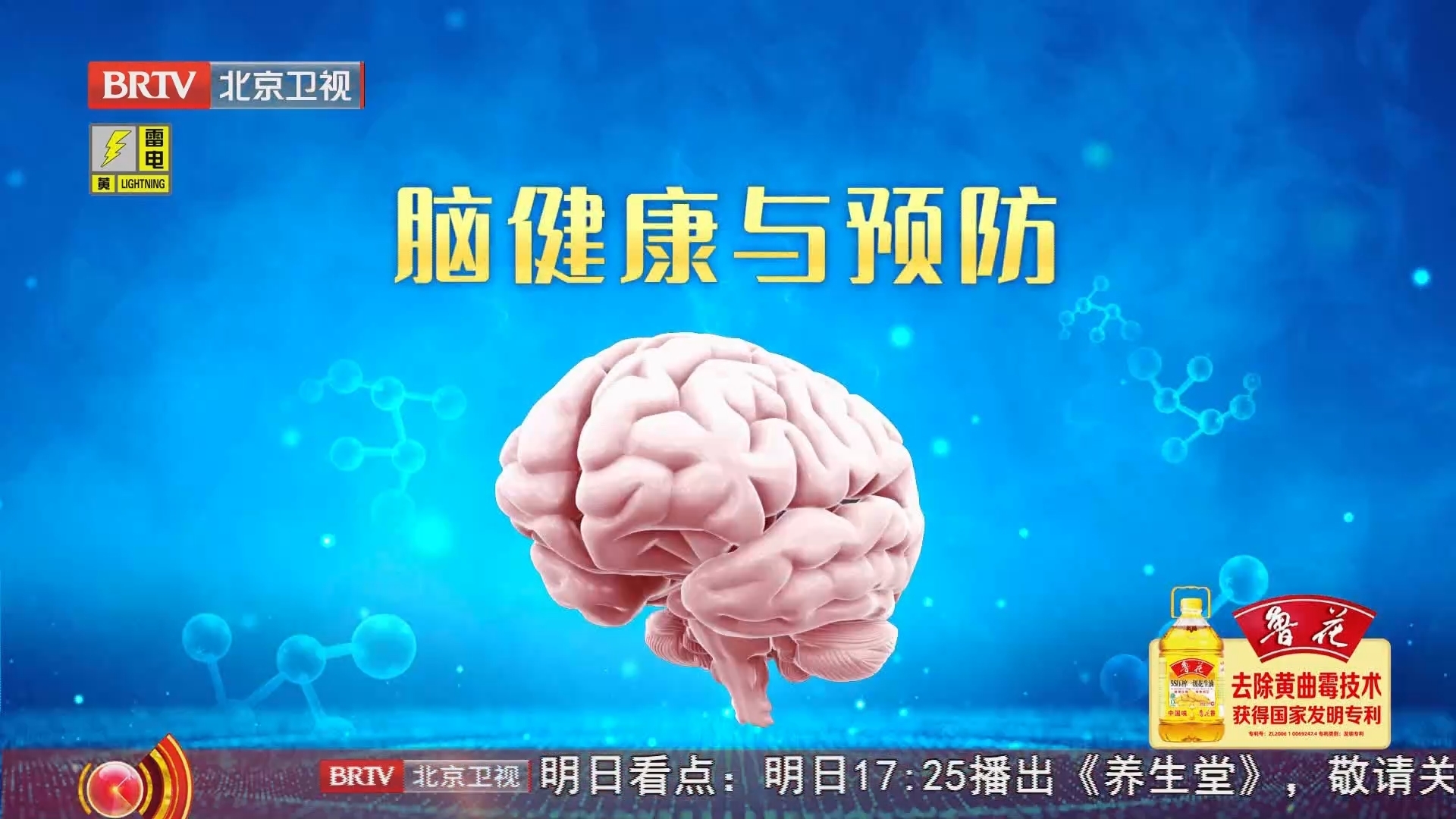 《养生堂》20240721世界脑健康日特别节目（1）