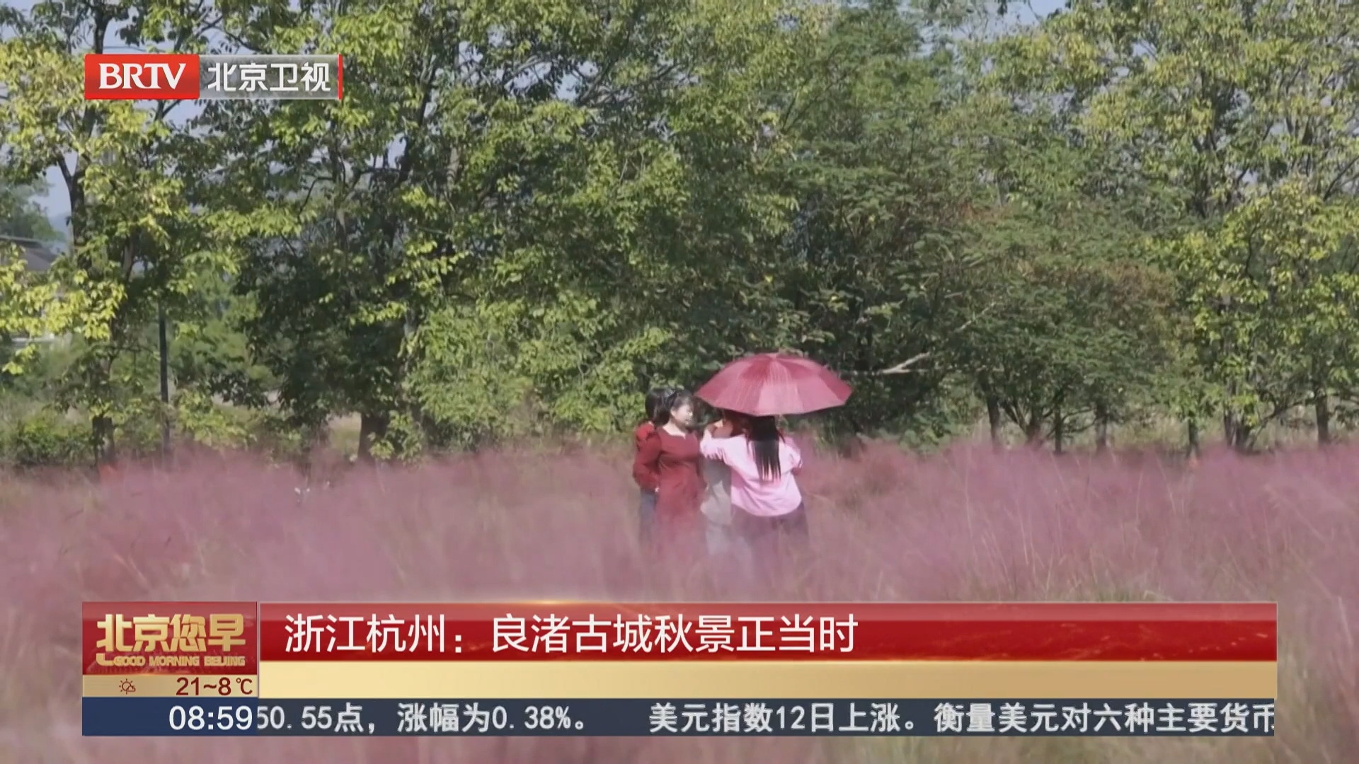 浙江杭州：良渚古城秋景正当时