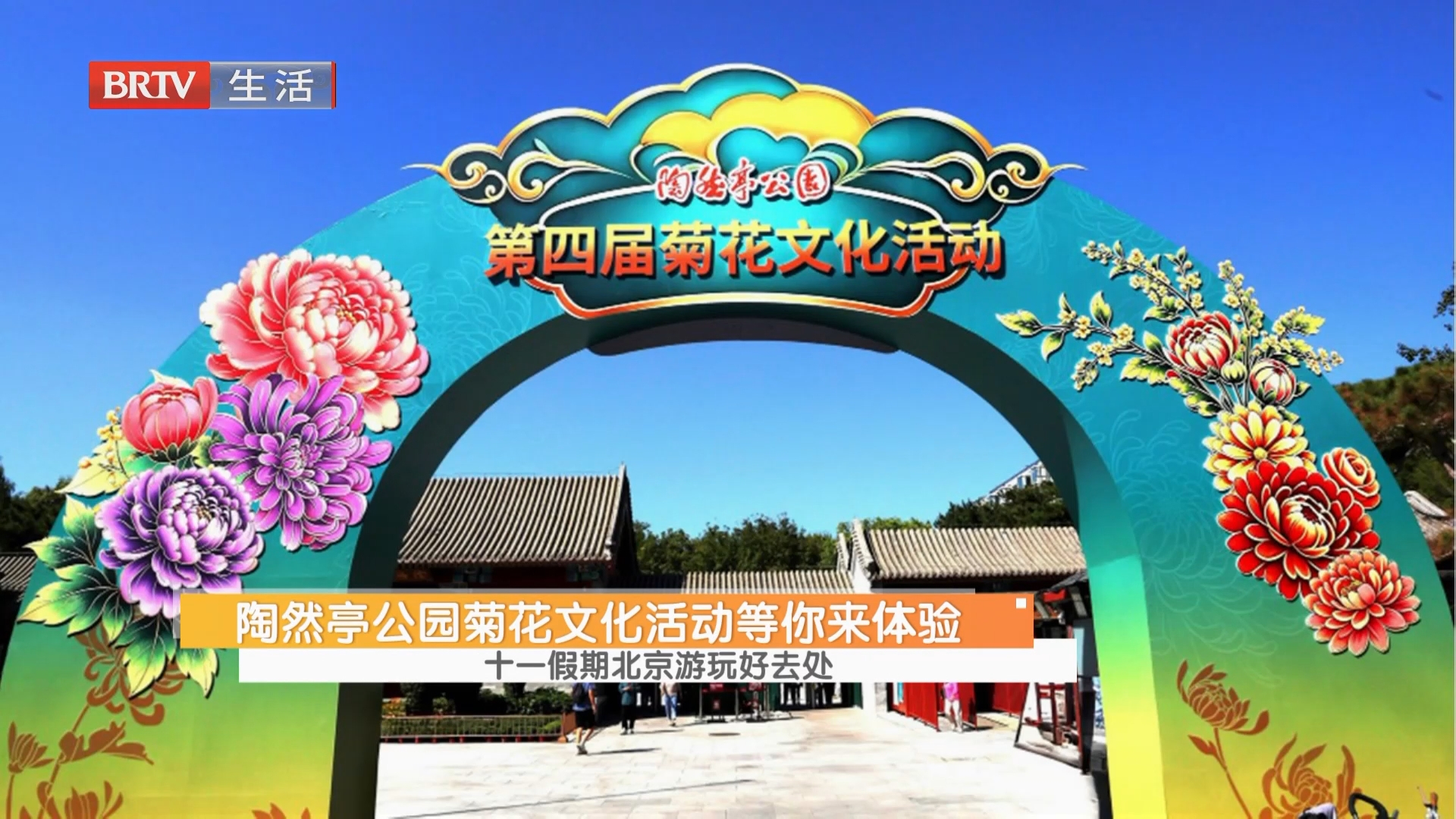 陶然亭公园菊花文化活动等你来体验