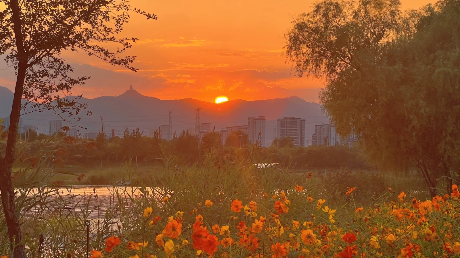 望西山、看日落、逛花海,这里承包了京西大半秋日浪漫