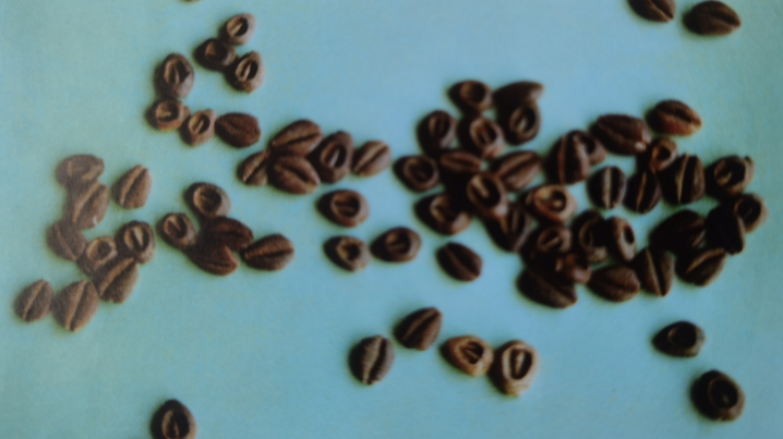 中国最早的货币,北京怀柔现存有! 中国最早的货币,北京怀柔现存有!