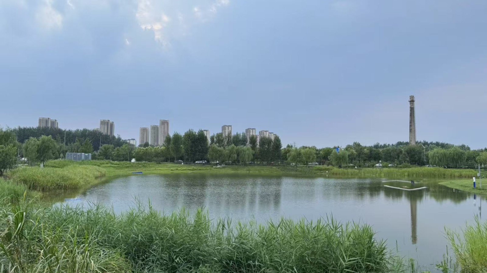 雨后 城市副中心绿心公园迎来清新与活力 雨后 城市副中心绿心公园迎来清新与活力