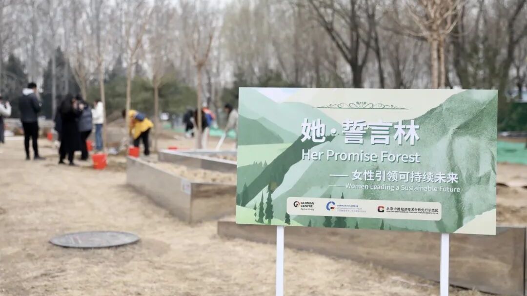 中德“她力量”，种下友谊树